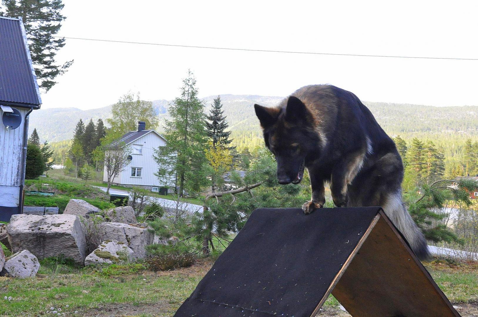 DSC_0887.JPG