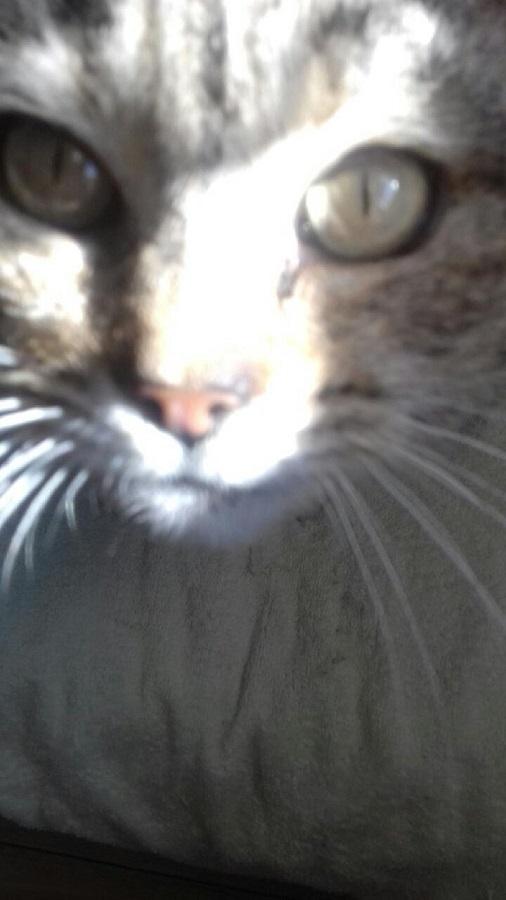 20190605_091223.jpeg.f765e8773230a982f7d93c39274ba8f5.jpeg