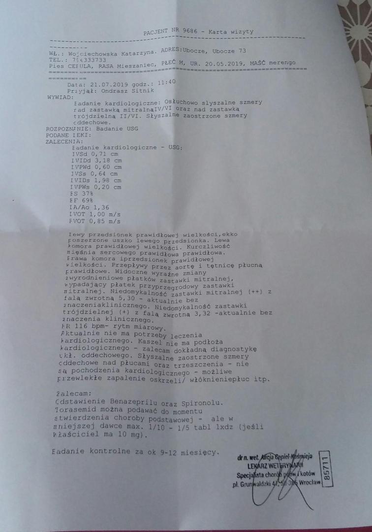 20190721_130231-1.jpg