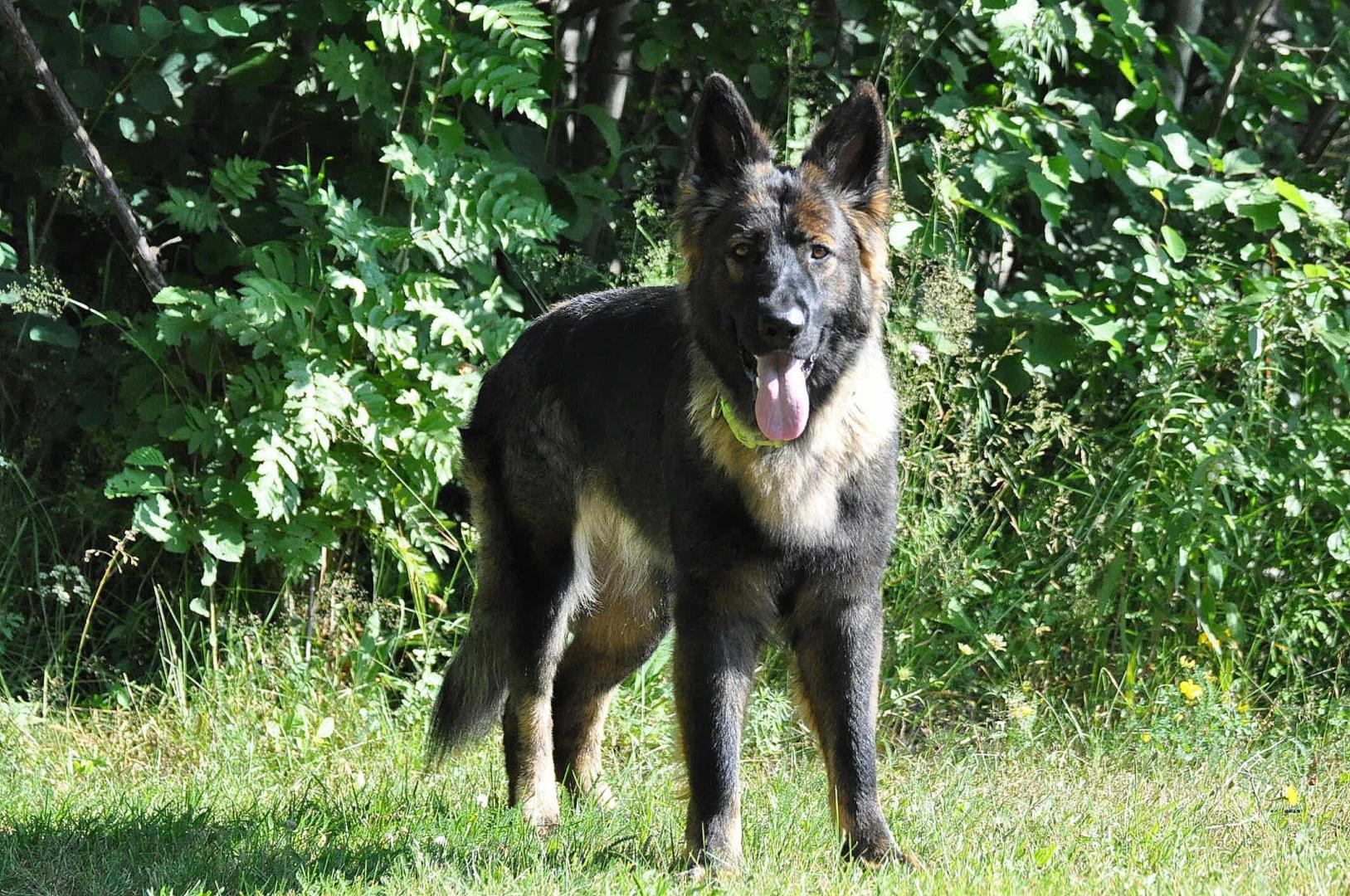 DSC_0069.JPG