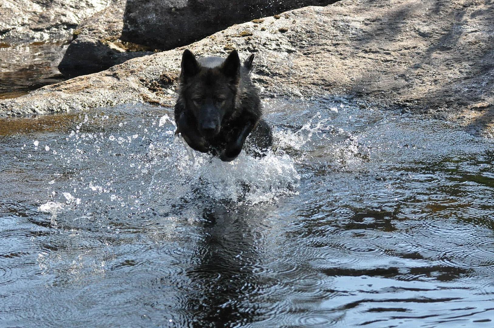 DSC_0105.JPG