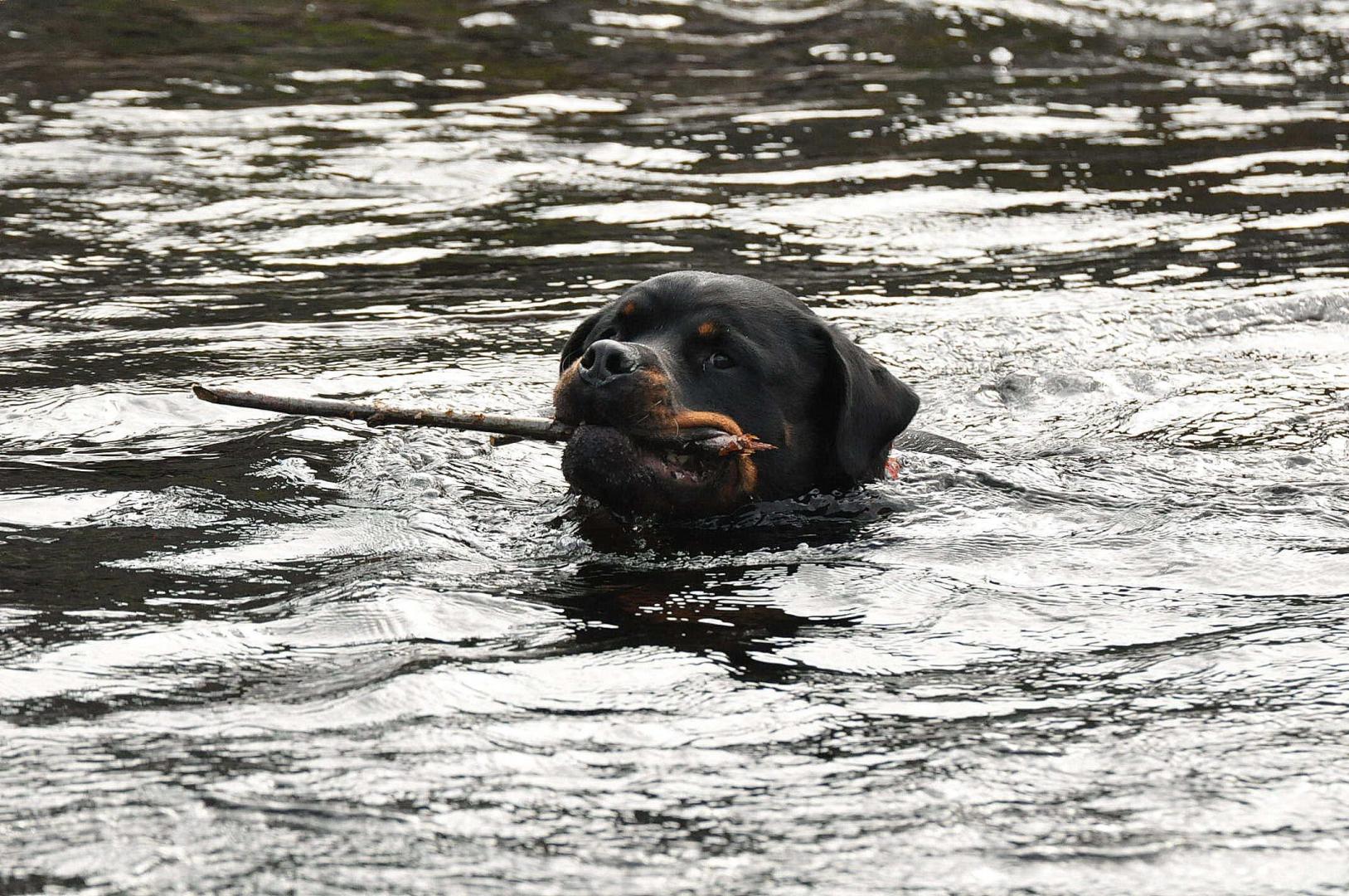 DSC_0236.JPG