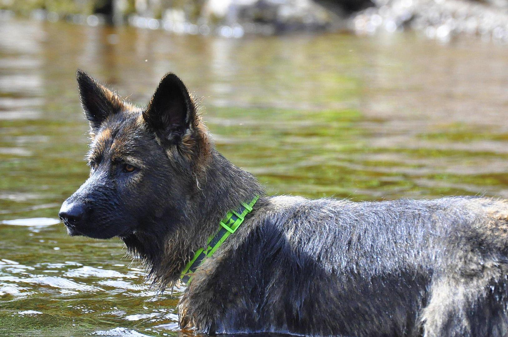 DSC_0960.JPG