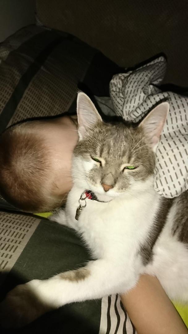 stacha.thumb.jpg.790754493a66d08a7eb9df459a71a2f9.jpg