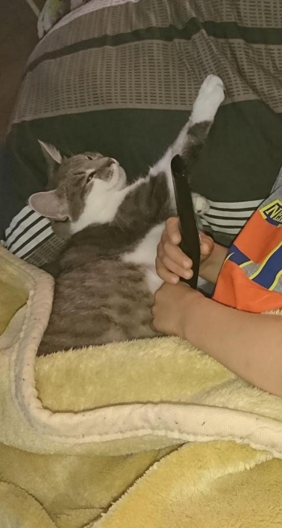 stacha2.thumb.jpg.1423700f67a135163830599a72bb6ff8.jpg