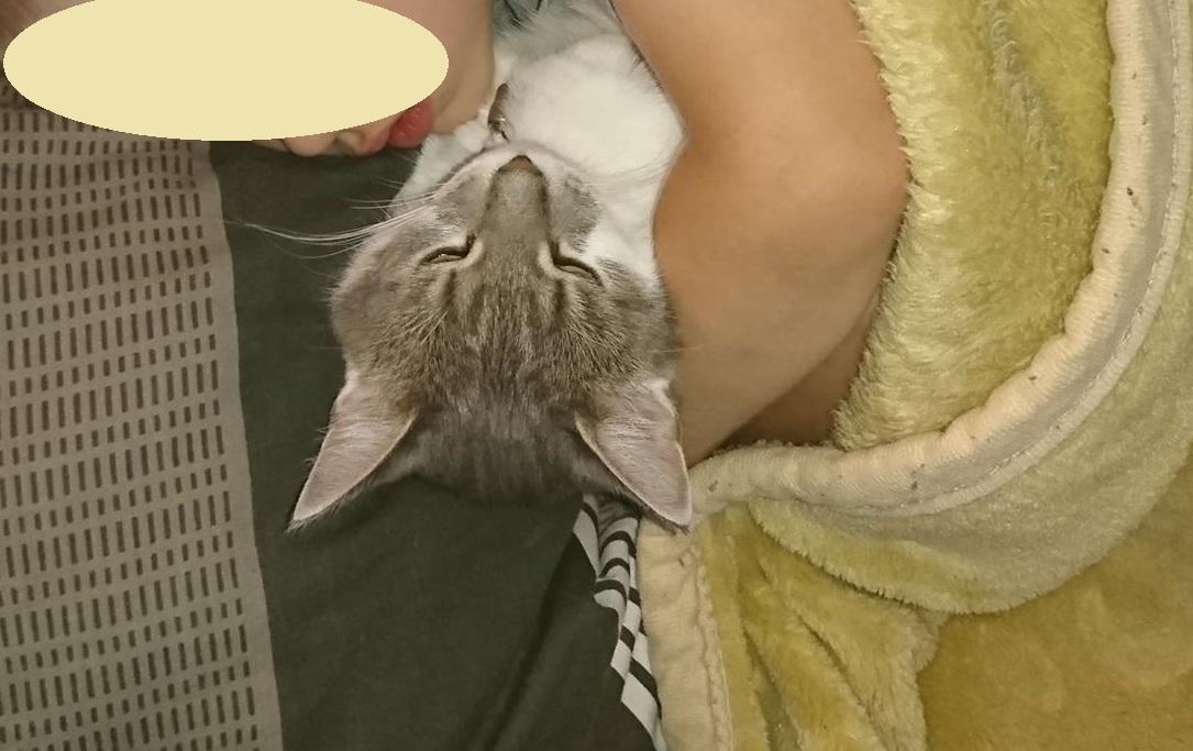 stacha3.jpg.393717db1e5d427daa8a93686111bf8e.jpg