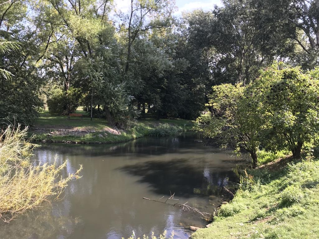 20190912_093334317_iOS.jpg.c149536053004f7bf0920e72ee1e303e.jpg
