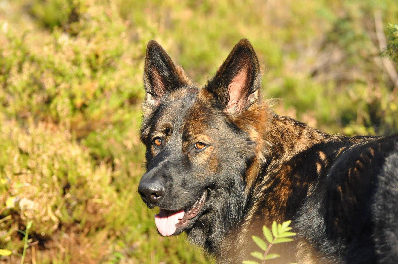 DSC_0022.JPG