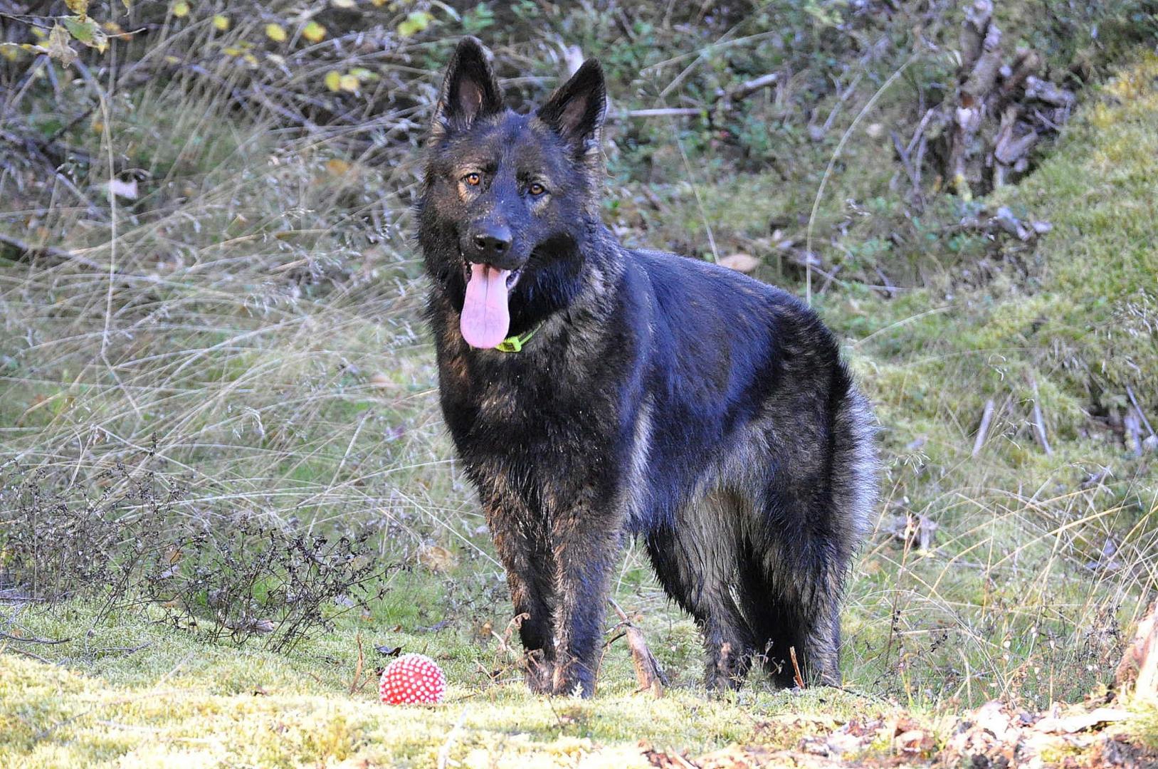 DSC_0097.JPG