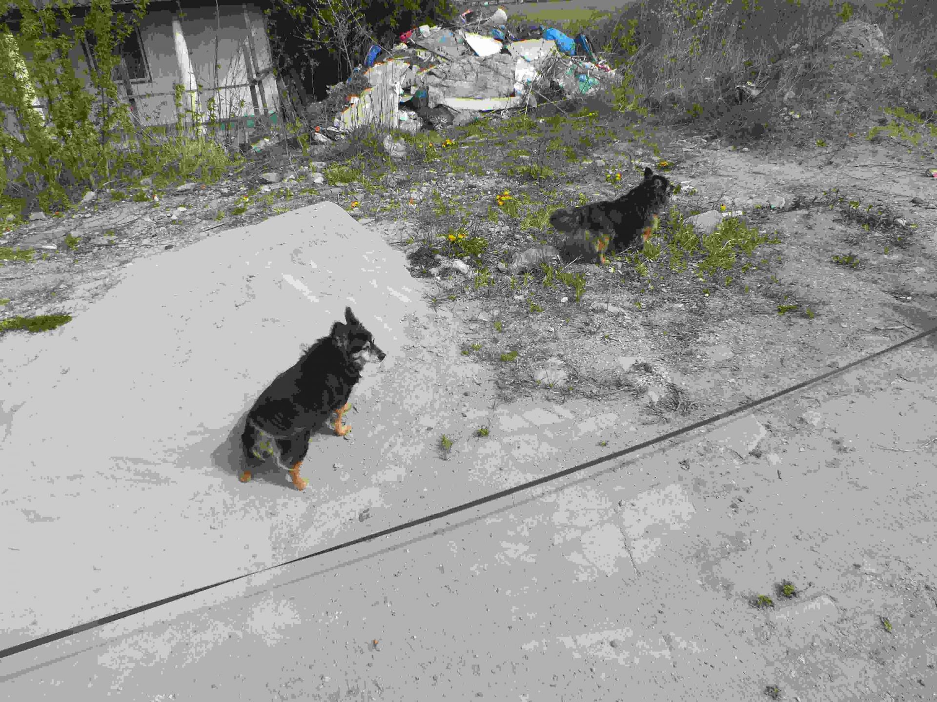 DSCF2635_wynik.JPG