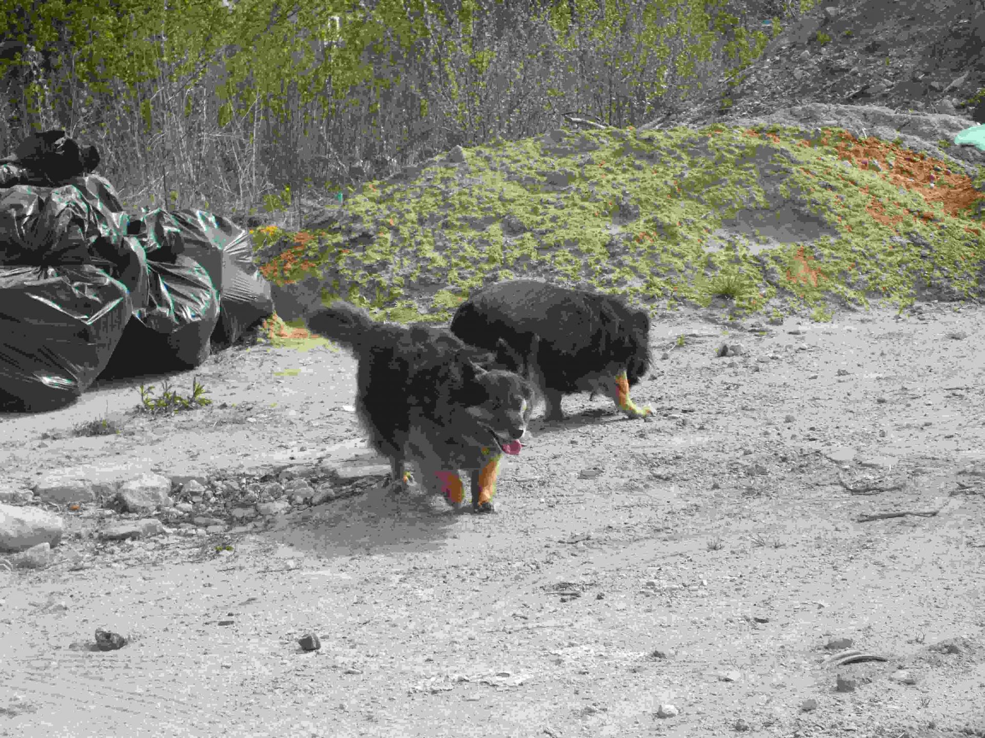 DSCF2643_wynik.JPG