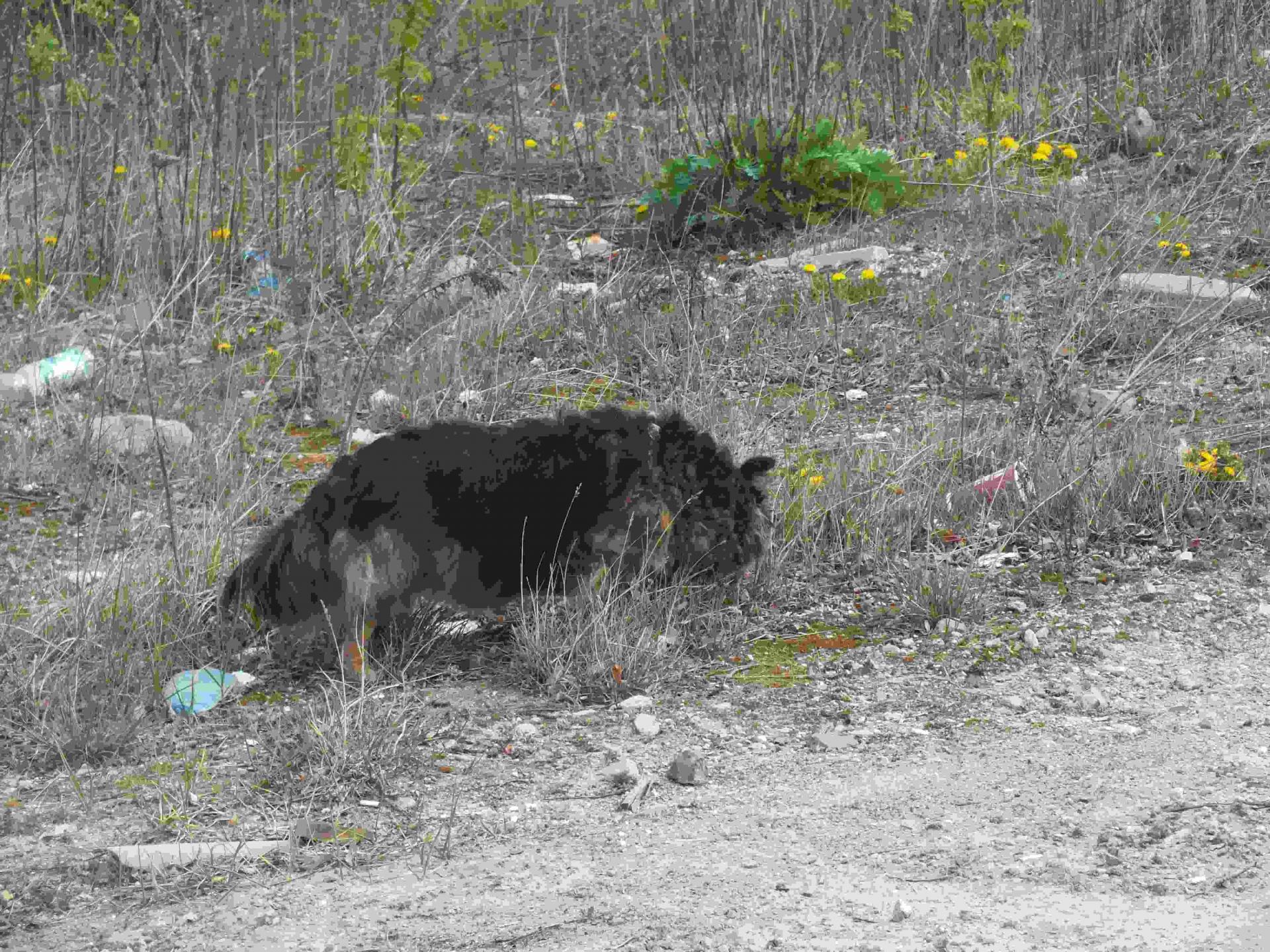 DSCF2653_wynik.JPG
