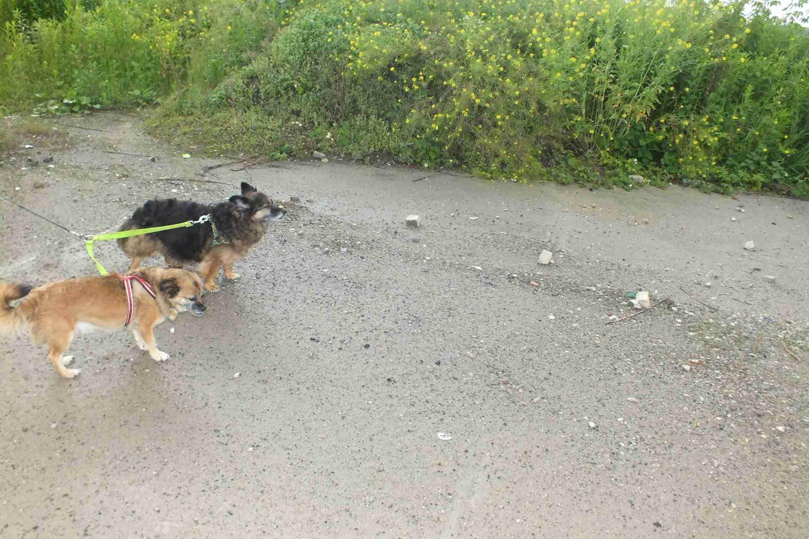 DSCF2735_wynik.JPG