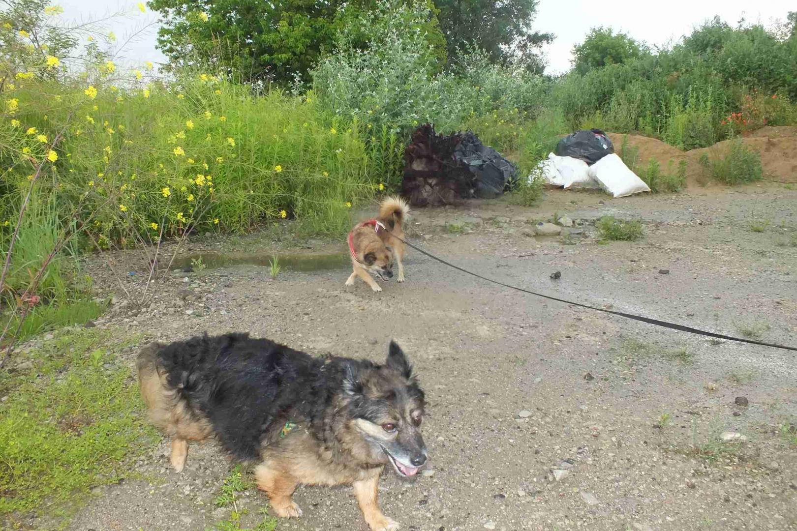 DSCF2742_wynik.JPG