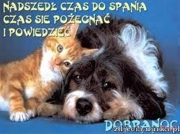 images.jpg.b94242dffb88150eb14d89f318f2eeaf.jpg