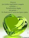 image.jpeg.23e4e11b5828778a869cb55a9c82daf2.jpeg
