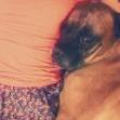 agata_17