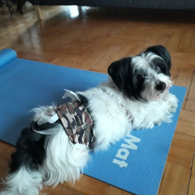 4.jak-zmniejszyc-fotke_pl.jpeg.f17f894e35acdd68bedab8907e4b54d1.jpeg