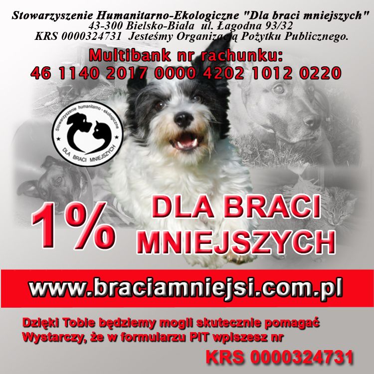 429657088_1.jpg.8c9c13cfeed43ef39ace1131a10744f9.jpg