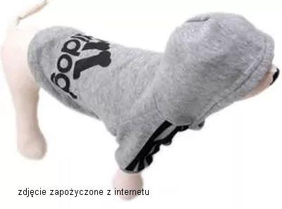 i-adidog-bluza-dla-psa-ubranko-dres-szara-xs.jpg.0701f643d1b7a6d828ba8e3dd92a2e68.jpg