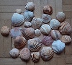 20230319_175049.jpg.e9a5478d6fd8824986efa001a288fedb.jpg
