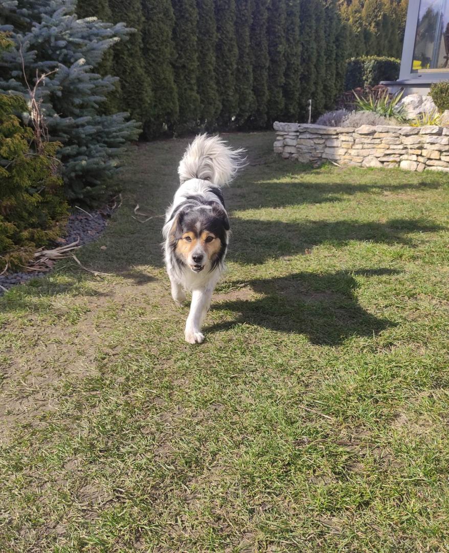 received_758192712323824.jpeg