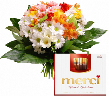 1341362806_merci1.png.36a57cc269e3ffac80063d5752f381ee.png