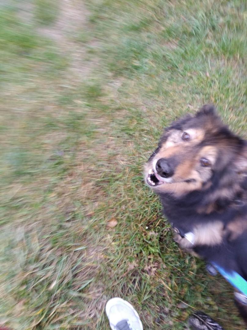 image.thumb.jpeg.20e769f195c59bead563d84284e7c935.jpeg