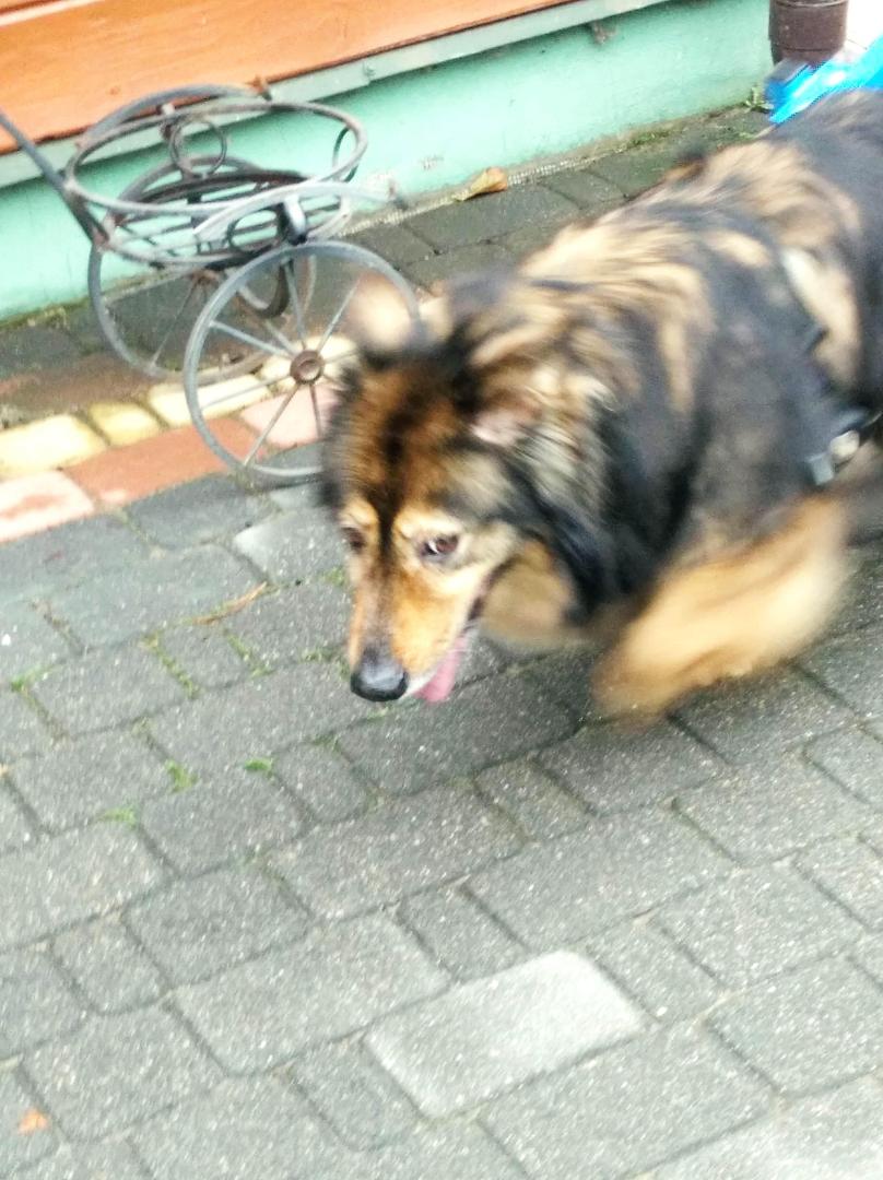 image.thumb.jpeg.c5f5a9a9c50b1e882f011ad356e7cf83.jpeg
