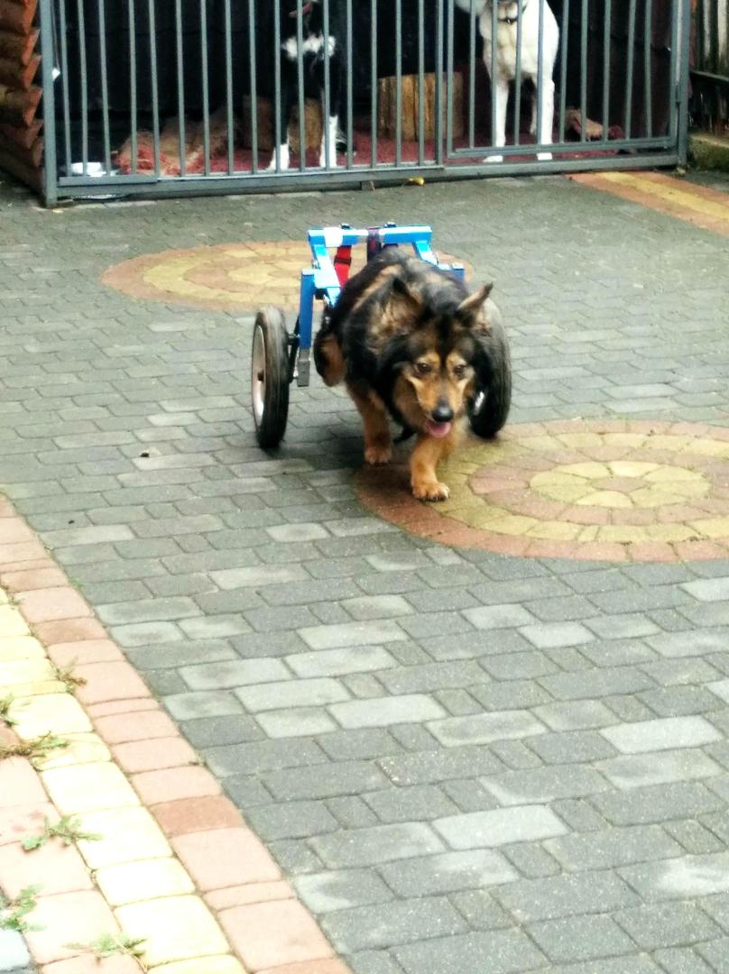image.thumb.jpeg.d55655ea89da2c6969e17ff779aa6207.jpeg