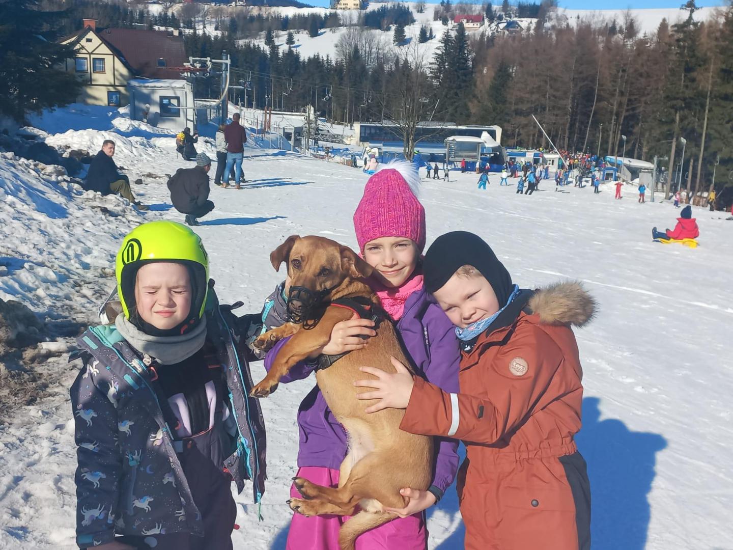 IMG-20231116-WA0004.jpg