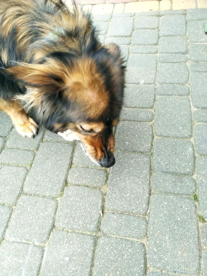 image.thumb.jpeg.4574505cb95465a8afa6670c4a18a73b.jpeg