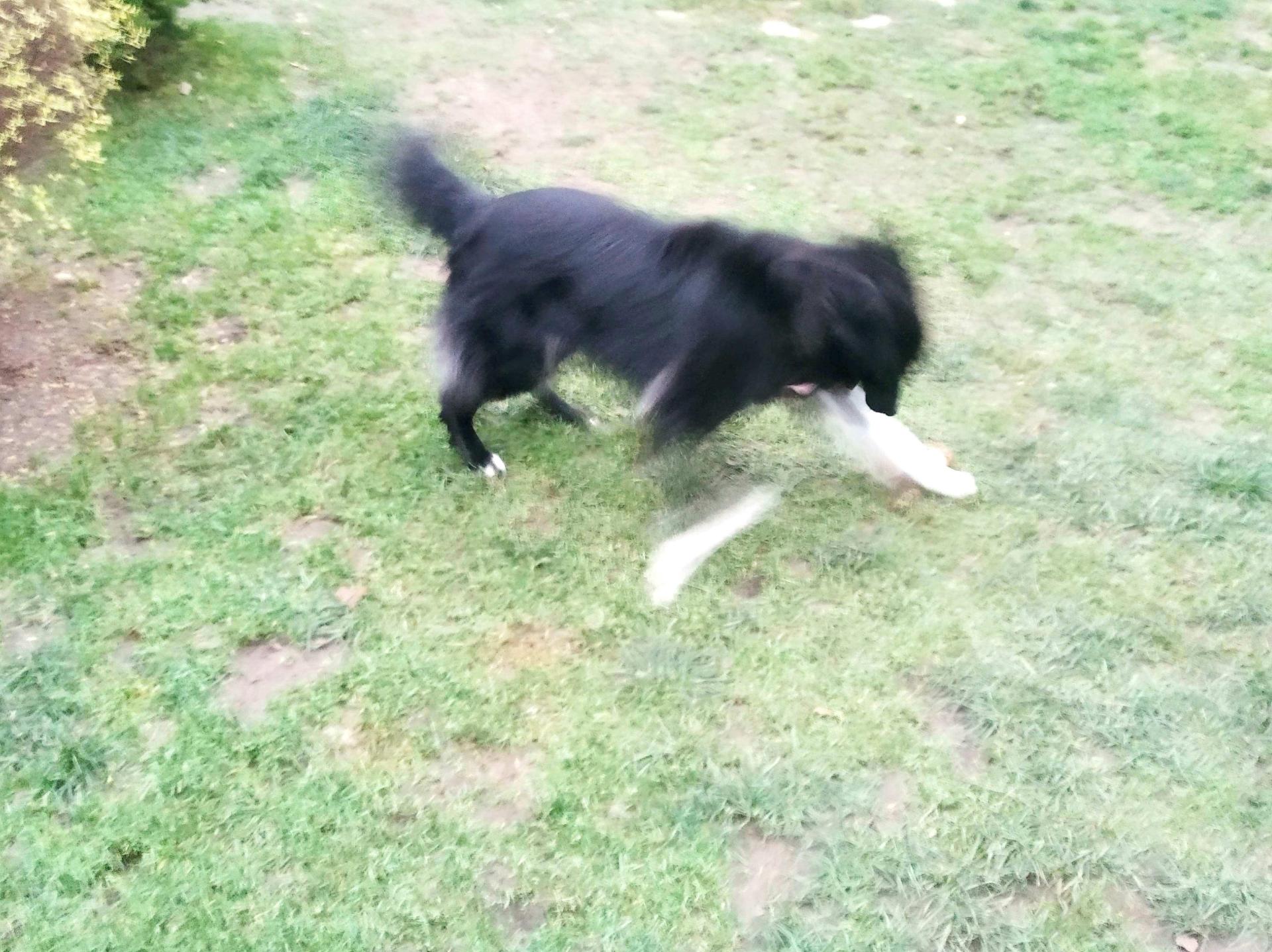 image.thumb.jpeg.6f7989019f2a02259b8ed861b4389396.jpeg