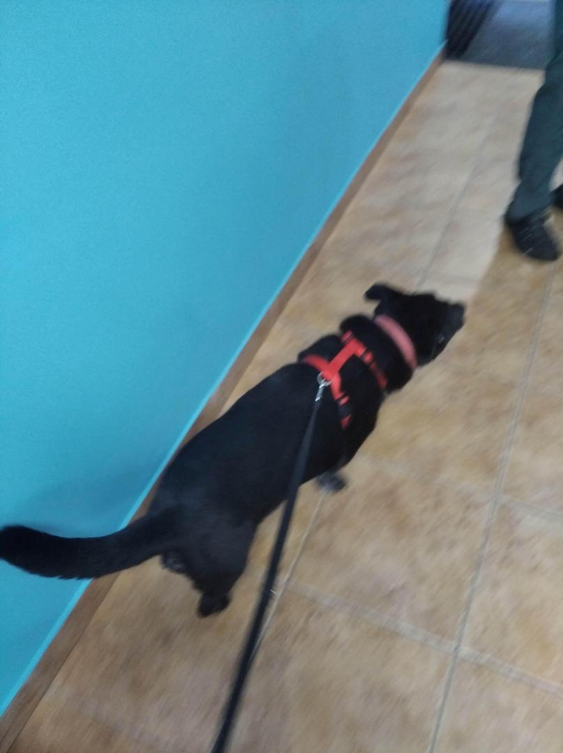 image.thumb.jpeg.851d07507c2e1128847917d31f7ed65e.jpeg