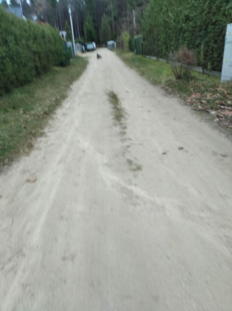 image.thumb.jpeg.967f1137d97d0e294d4d64c0347af004.jpeg