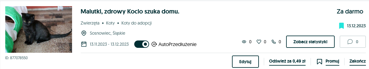 ogoszKocio.png.59442625a89f71e65dcf669cc52ec3ba.png