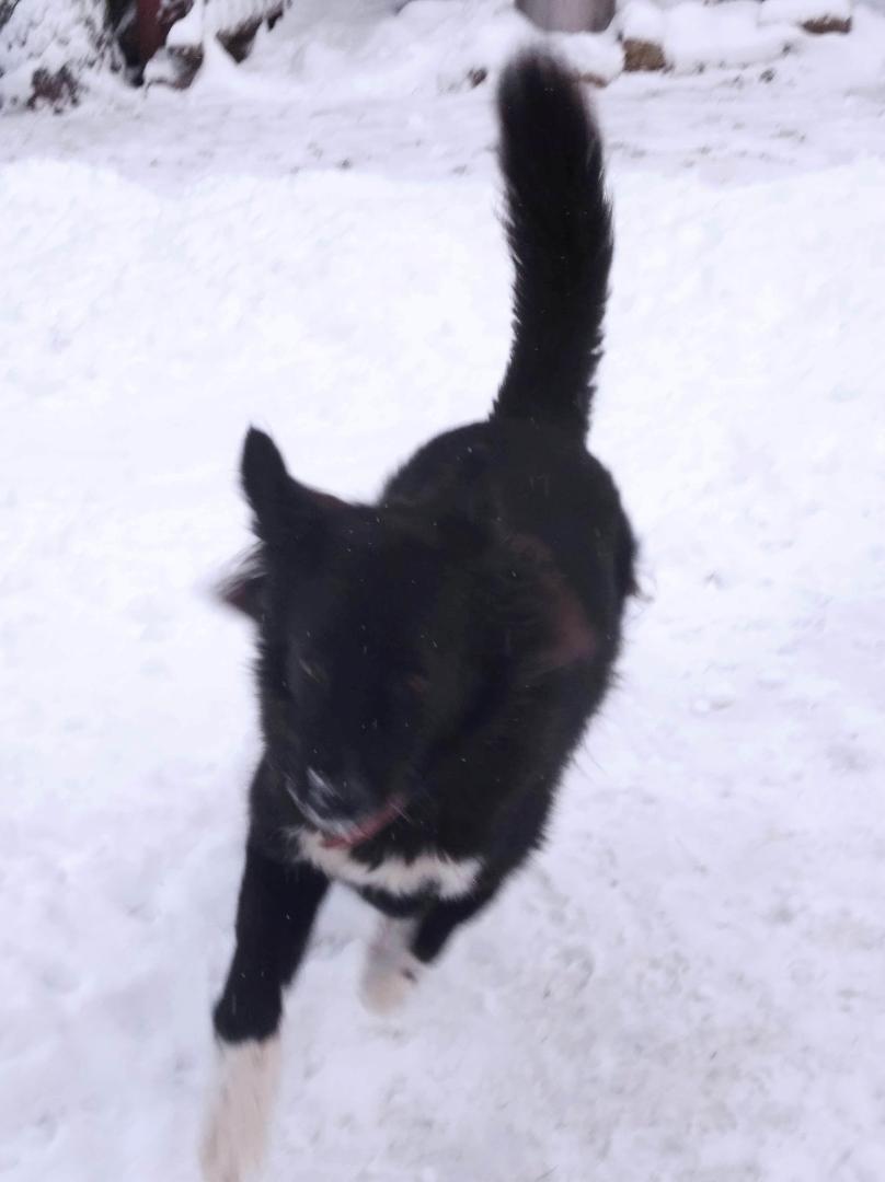 image.thumb.jpeg.902b2100c88a26ffc5972f627d257551.jpeg