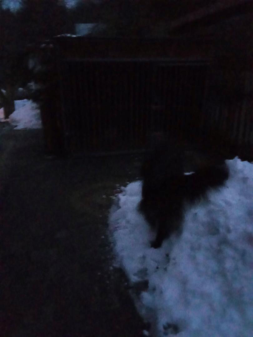image.thumb.jpeg.1f76bd73499b9db48273d571e03c984e.jpeg