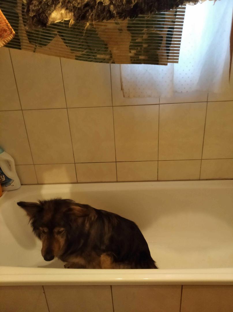 image.thumb.jpeg.21cbe309599f4599faec18ee1429668f.jpeg