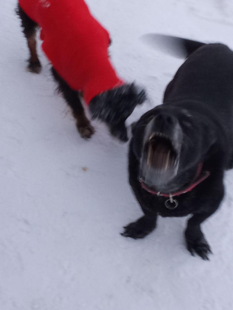 image.thumb.jpeg.3ec65c97831ae8755a29e5472ac64b07.jpeg