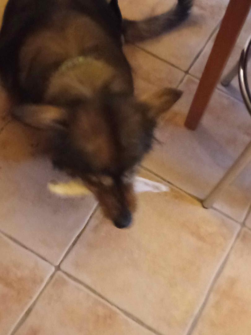 image.thumb.jpeg.819f87fc42287fd711d22903aebb7033.jpeg