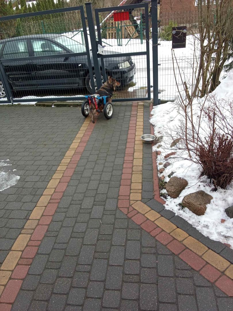 image.thumb.jpeg.897dd30c1facf0faecba73d25a6219e6.jpeg