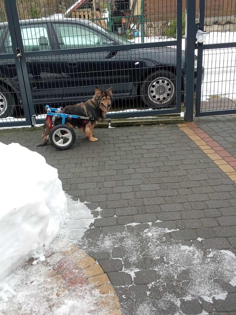 image.thumb.jpeg.ea8e51986148cb1456c415e80a7b1736.jpeg