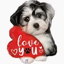 Beznazwy.webp.29abdc88058b76721930c0c3f43e726c.webp