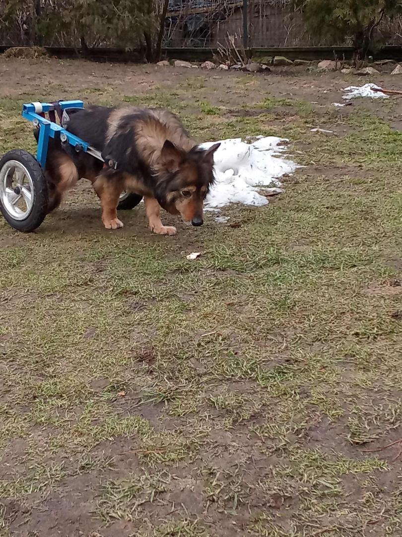 image.thumb.jpeg.0f3295aea69e67b62f5a677aa4e322b7.jpeg