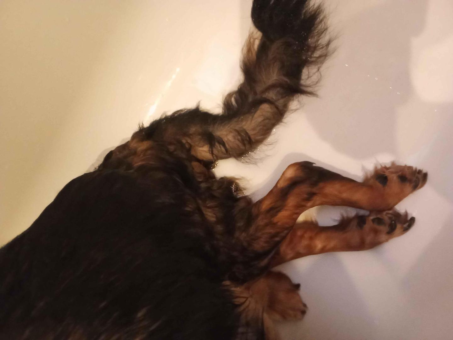image.thumb.jpeg.26ca4592720d731fdc949a2d49011474.jpeg