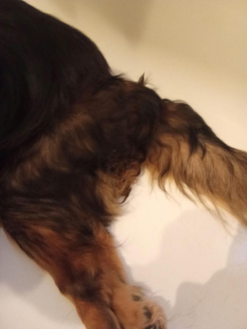 image.thumb.jpeg.2b7118b1381955d357f5b9d07e68d171.jpeg