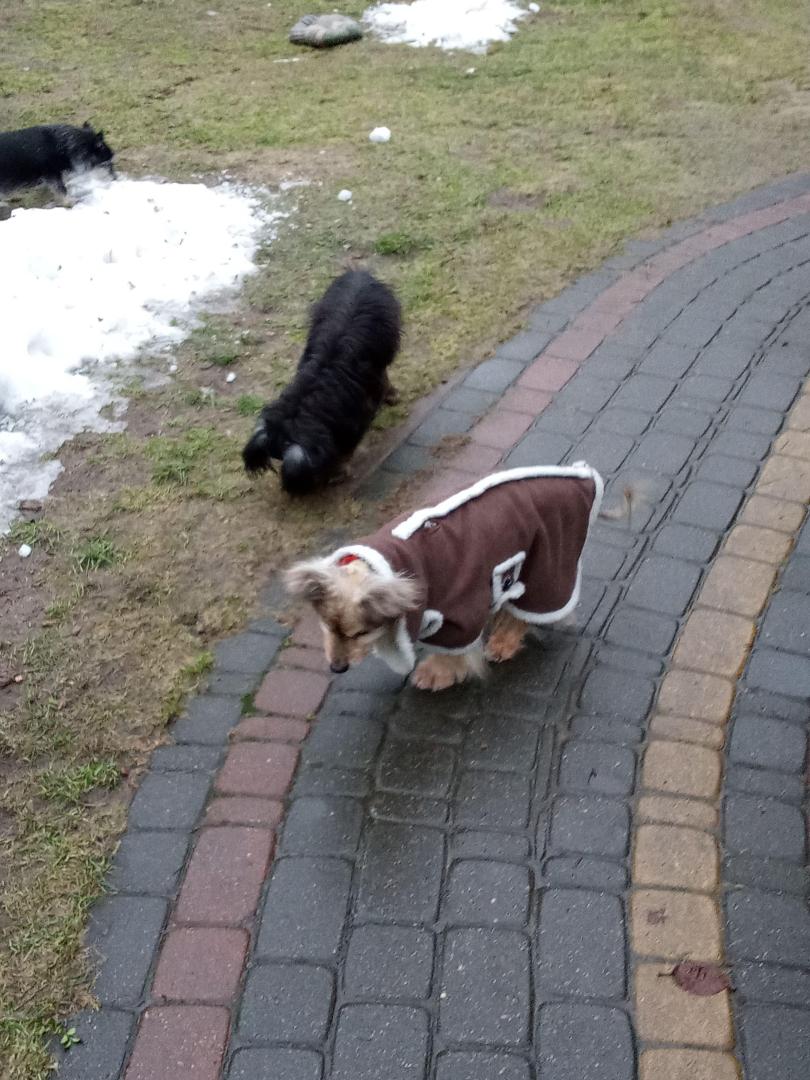 image.thumb.jpeg.34737f6b3b1278db8d67e4ea078d69fe.jpeg