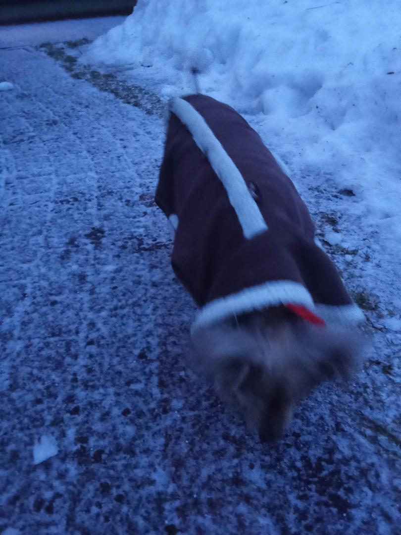 image.thumb.jpeg.38bbd9b16ddbd42009a8133b27fe63ca.jpeg