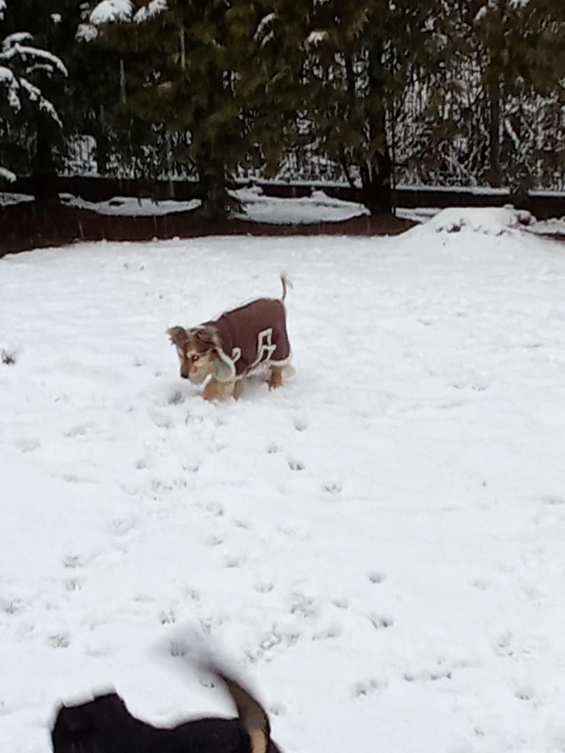 image.thumb.jpeg.54115005d1700b757337a3201a16032d.jpeg